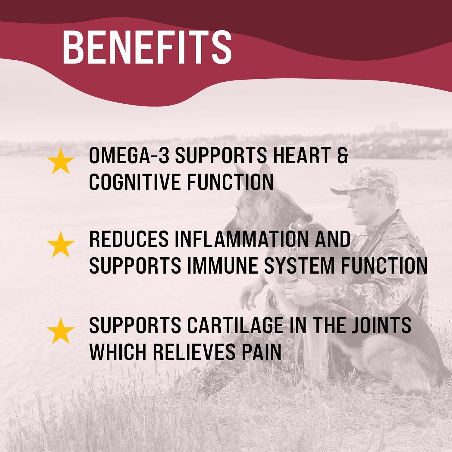 Dr. Boe's Veterinary Essentials VetraHealth Omega-3 Completo – Apoyo para Piel, Articulaciones, Cognitivo e Inmunológico para Perros – Aceite de Pescado Líquido con EPA y DHA