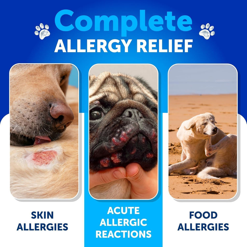 Probióticos para Perros - Apoya la Salud Digestiva, Piel con Picor, Alergias, Inmunidad, Equilibrio de Levaduras - Probióticos y Enzimas Digestivas con Prebióticos - Reduce Diarrea, Gases - 180 Masticables Probióticos para Perros