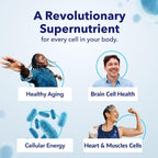 TRU NIAGEN Suplemento NAD+ Patentado, 300mg Niagen, 30 Servicios | Nicotinamida Ribósido (NR)