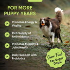 iHeartDogs Super Greens para Perros con Brotes de Brócoli y Espirulina - Polvo de Apoyo Inmunológico y Alergias Estacionales