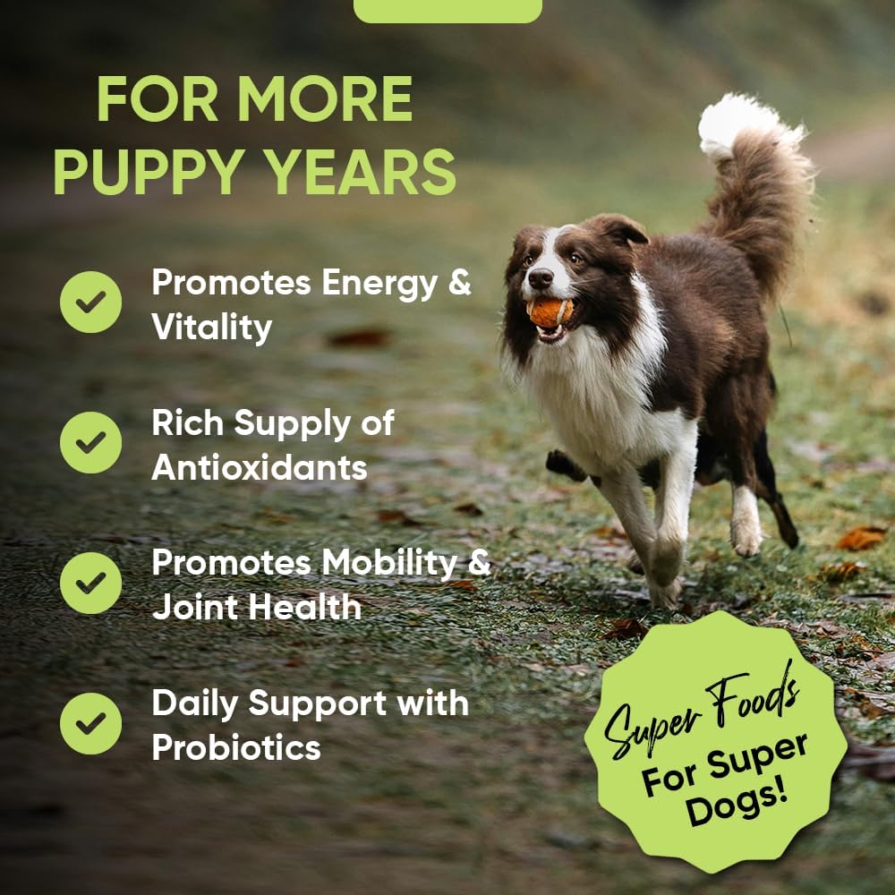 iHeartDogs Super Greens para Perros con Brotes de Brócoli y Espirulina - Polvo de Apoyo Inmunológico y Alergias Estacionales