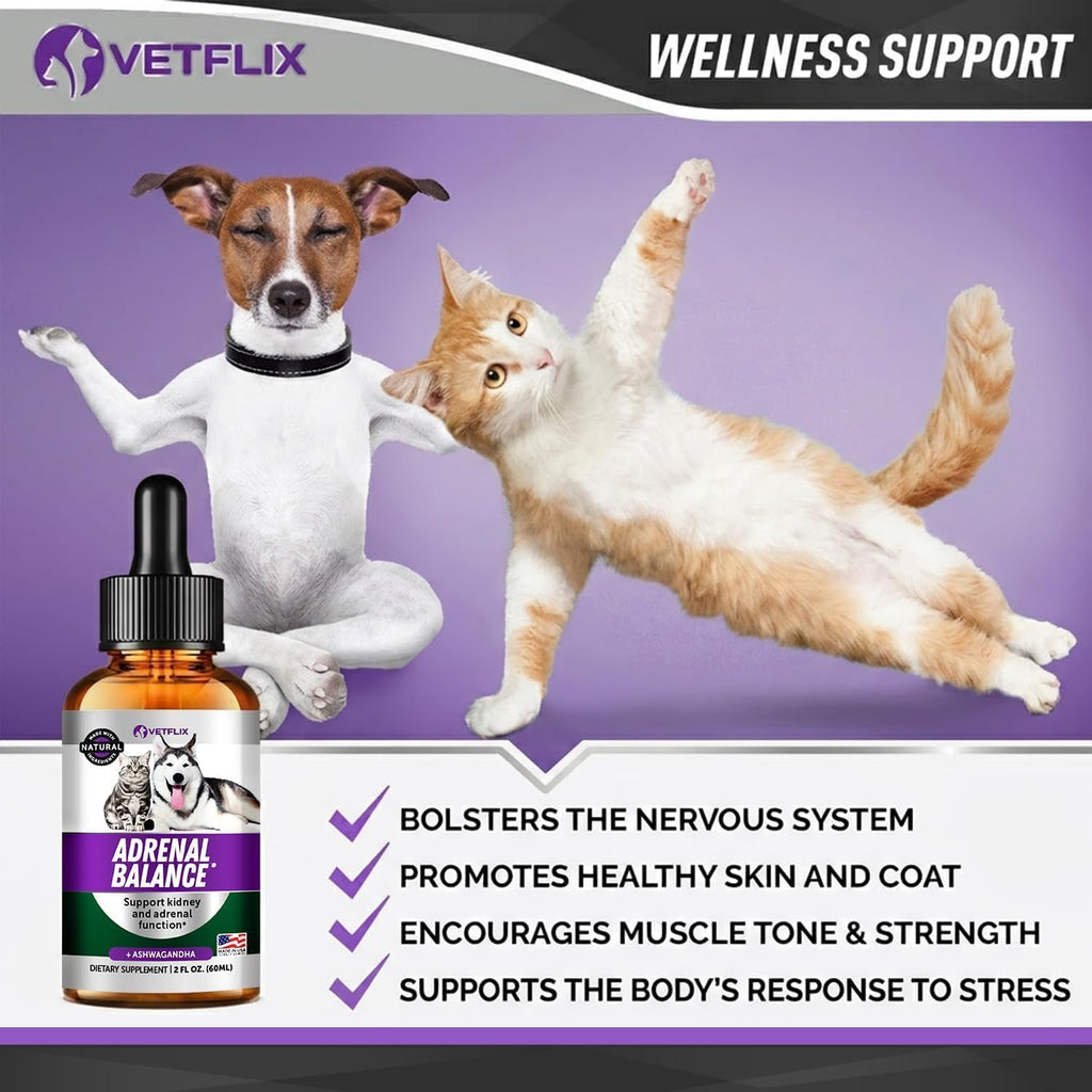 Adrenal Support Liquid Supplement for Dogs, Cats, Puppies & Kittens, 2 Oz