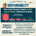 Aceite de Pescado Salvaje de Alaska Alaska Naturals para Perros - Suplemento Líquido Omega 3 EPA DHA, 946 ml (32 oz) con Bomba