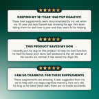 VetriScience SAMe Liver Health Tablets para Gatos y Perros Pequeños – 90 mg S-Adenosil Metionina, 30 tabletas