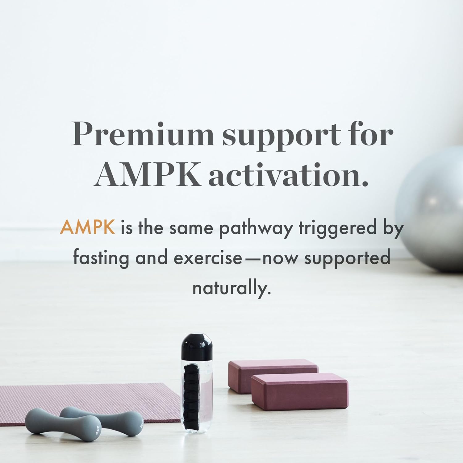 NAOMI Berberina Himalaya 500 mg – Apoyo metabólico y perfil lipídico con HIMABERB®
