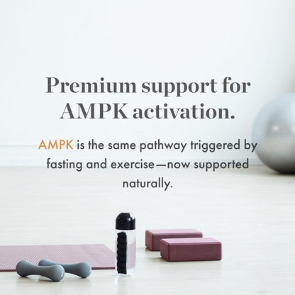 NAOMI Berberina Himalaya 500 mg – Apoyo metabólico y perfil lipídico con HIMABERB® – Image 4