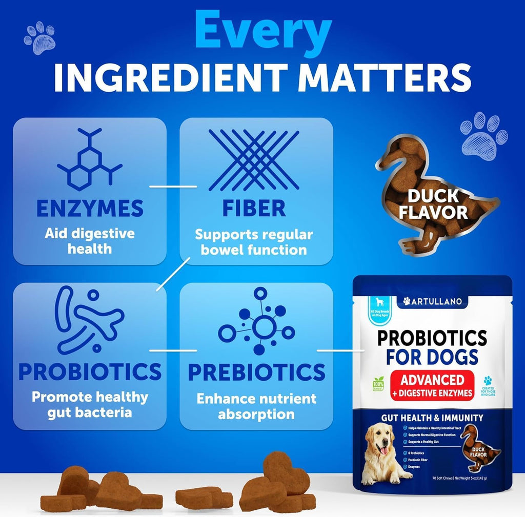Probióticos para Perros - Apoya la Salud Digestiva, Piel con Picor, Alergias, Inmunidad, Equilibrio de Levaduras - Probióticos para Perros y Enzimas Digestivas con Prebióticos - Reduce Diarrea, Gases - 70 Masticables Probióticos para Perros