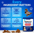 Probióticos para Perros - Apoya la Salud Digestiva, Piel con Picor, Alergias, Inmunidad, Equilibrio de Levaduras - Probióticos para Perros y Enzimas Digestivas con Prebióticos - Reduce Diarrea, Gases - 70 Masticables Probióticos para Perros