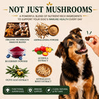 Turkey Tail Mushroom for Dogs - Suplemento de Hongos Orgánicos para Perros - 90 Chews Blandos