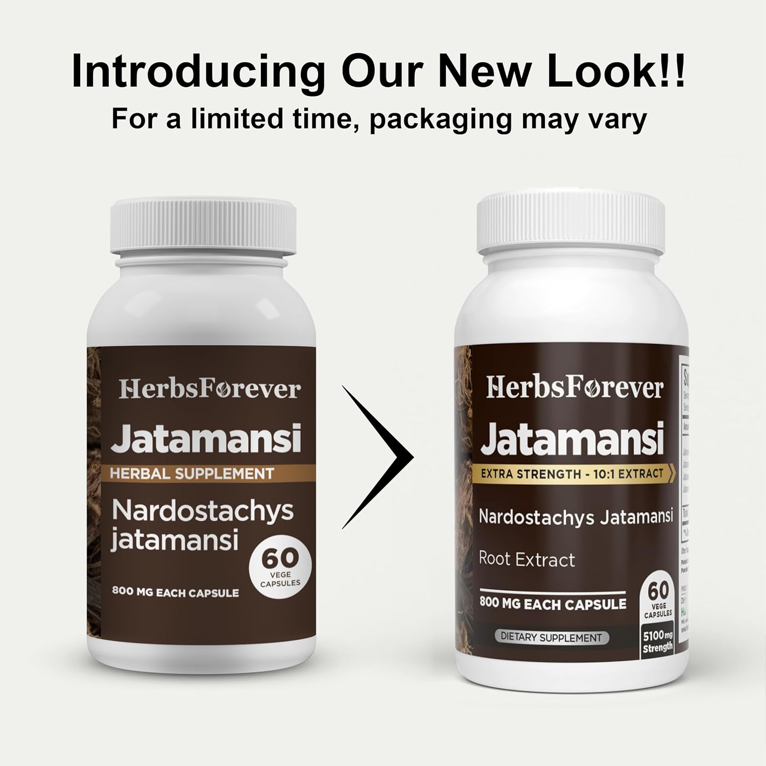 Herbsforever Cápsulas de Jatamansi | Nardostachys Jatamansi | 60 Cápsulas Veganas, 800 mg