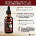 Rejuvica Health Cherry Force - Extracto Avanzado de Cereza Ácida - Rico en Fitoniutrientes - Extracto Líquido para Mejor Absorción
