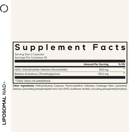 Codeage NAD+ Liposomal 500 mg con Betaína Anhidra - 60 Cápsulas – Image 2