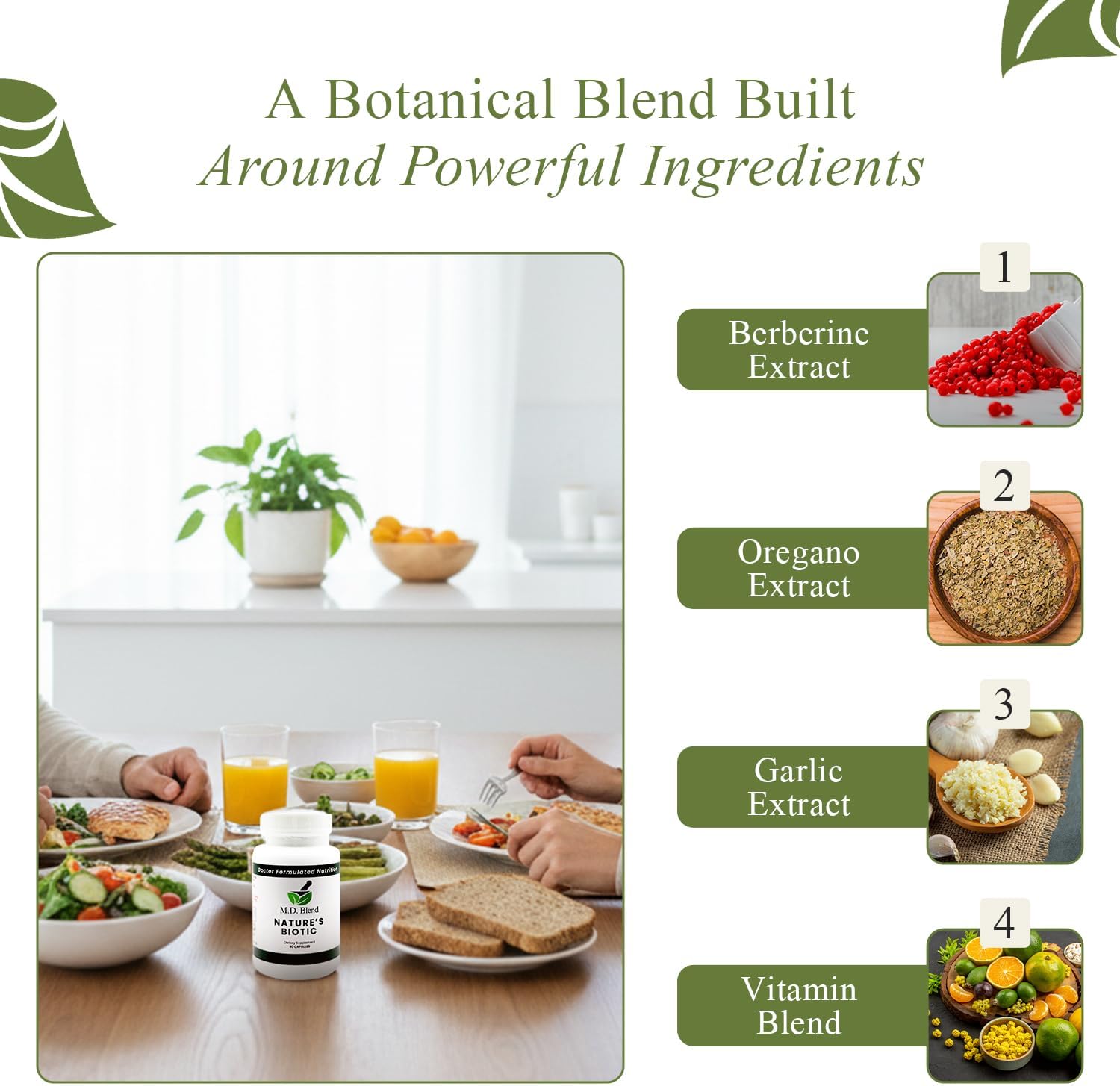 Nature's Biotic Berberine con Complejo de Orégano, Ajo, Vitaminas C y B6, Magnesio y Zinc, 90 Cápsulas