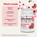 ANDREW LESSMAN Efficient C + Cranberry Benefits - 30 Sobres