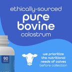 Zena Nutrition Pure Colostrum Capsules – Calostro Bovino Puro en Cápsulas, 1500mg