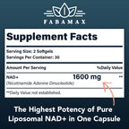 Fabamax 1600 mg Liposomal NAD+ - 98% Pureza, Absorción Superior, 120 Cápsulas Blandas