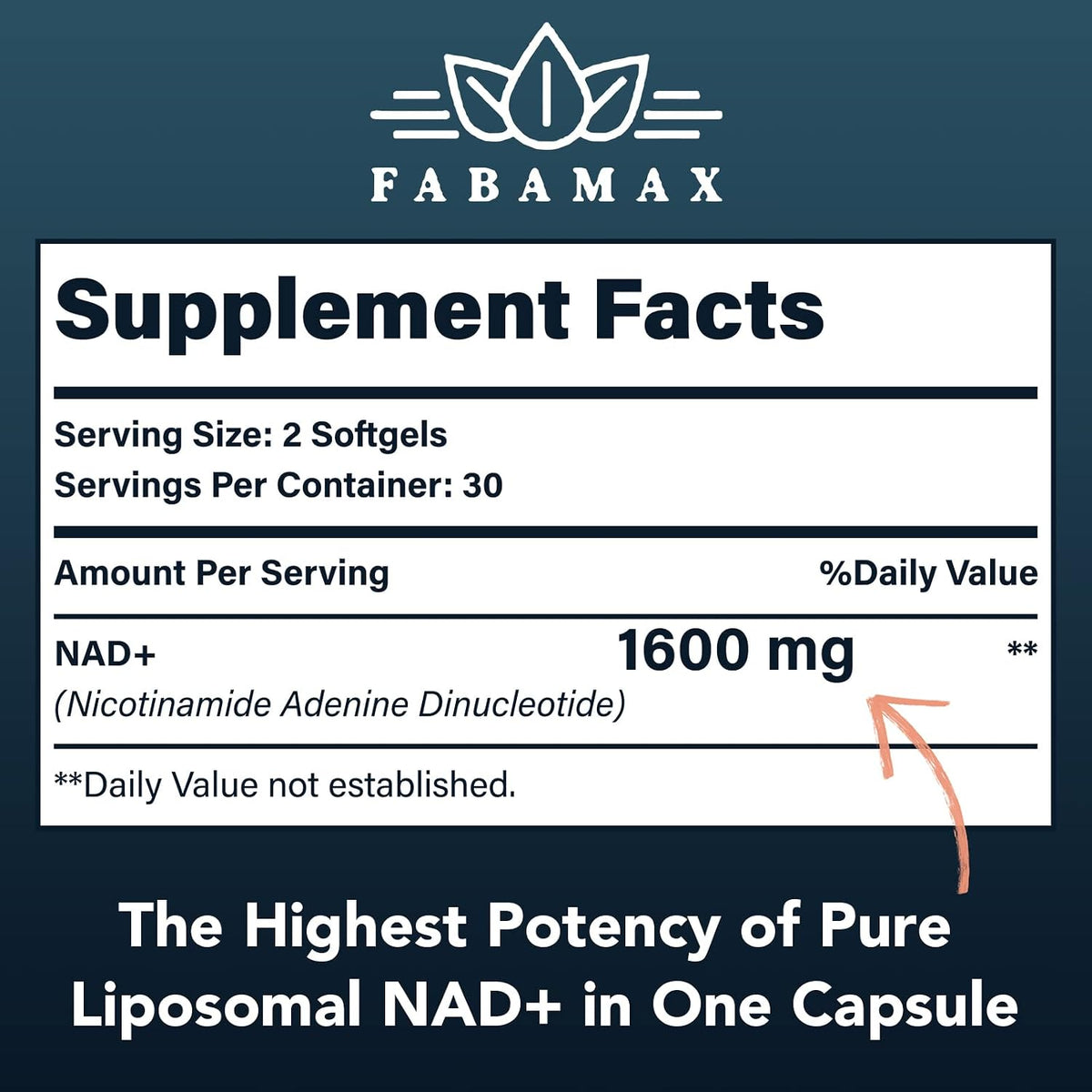 Fabamax 1600 mg Liposomal NAD+ - 98% Pureza, Absorción Superior, 120 Cápsulas Blandas – Image 2
