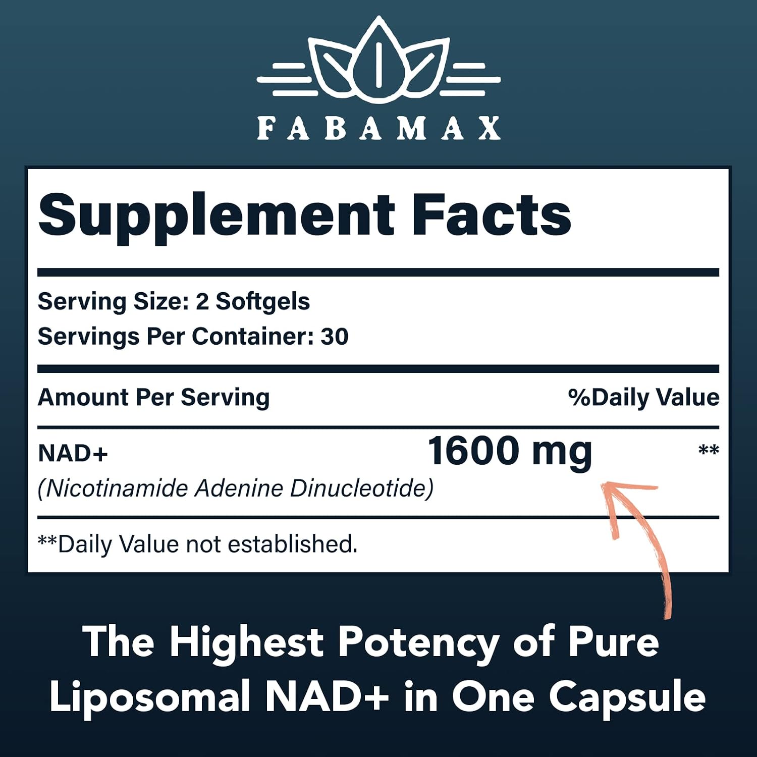 Fabamax 1600 mg Liposomal NAD+ - 98% Pureza, Absorción Superior, 120 Cápsulas Blandas