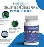 Stem Cell Células Madres - Suplemento Antiedad y Longevidad, 60 Cápsulas Vegetarianas