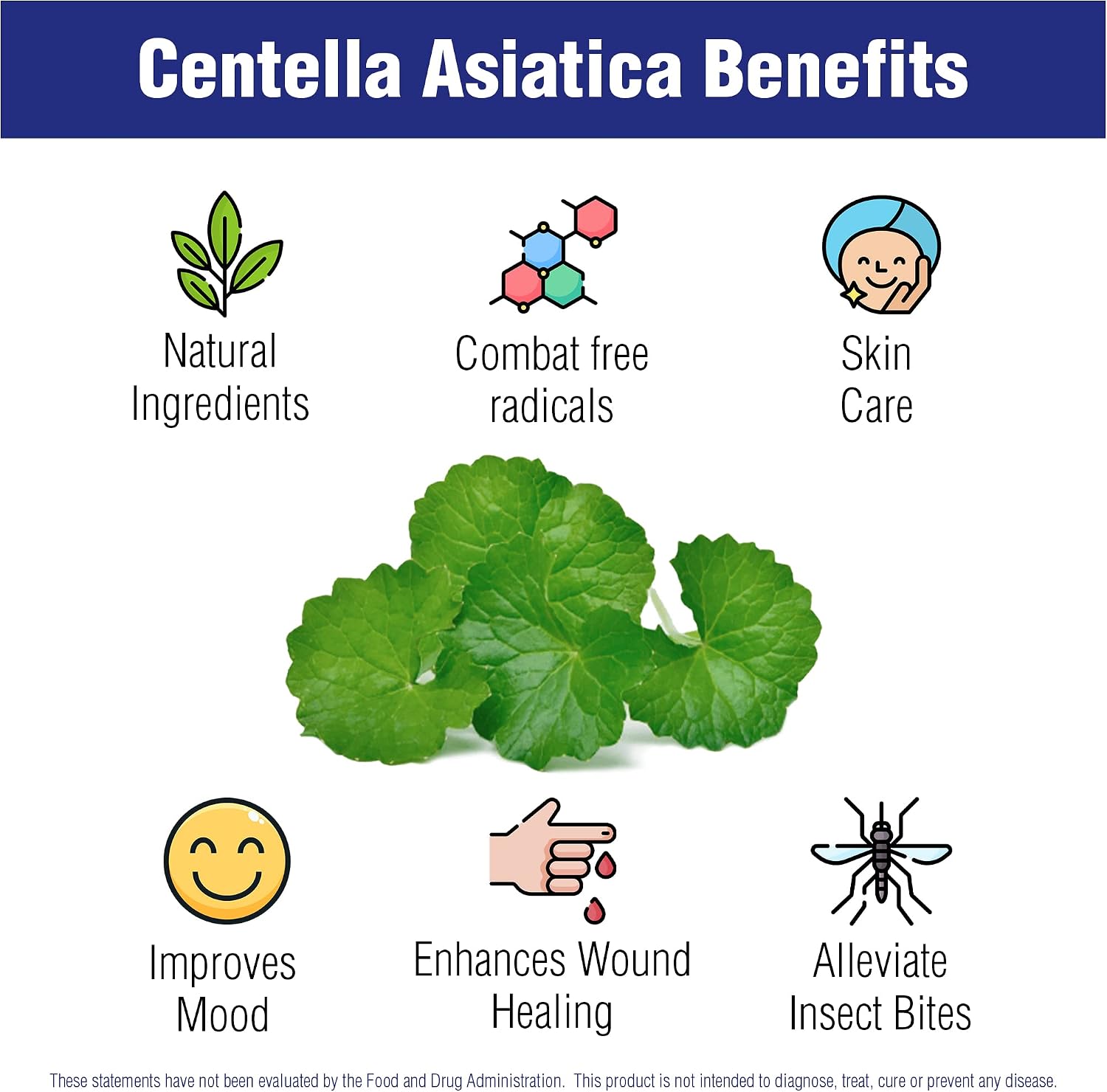Centella Asiática 500 mg 60 Cápsulas - Gotu Kola - Natural Systems