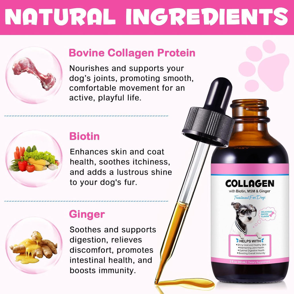 Colágeno Líquido para Perros con Biotina, MSM y Jengibre | Suplemento para Articulaciones, Piel y Digestión 60ml