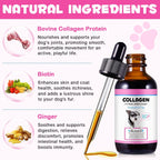 Colágeno Líquido para Perros con Biotina, MSM y Jengibre | Suplemento para Articulaciones, Piel y Digestión 60ml