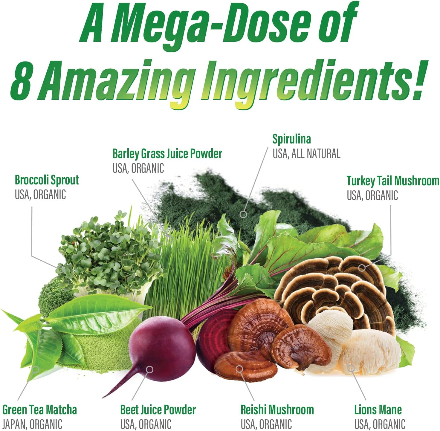 Myogenix MyoVite Super Greens – Suplemento Verde en Polvo, 30 Servicios