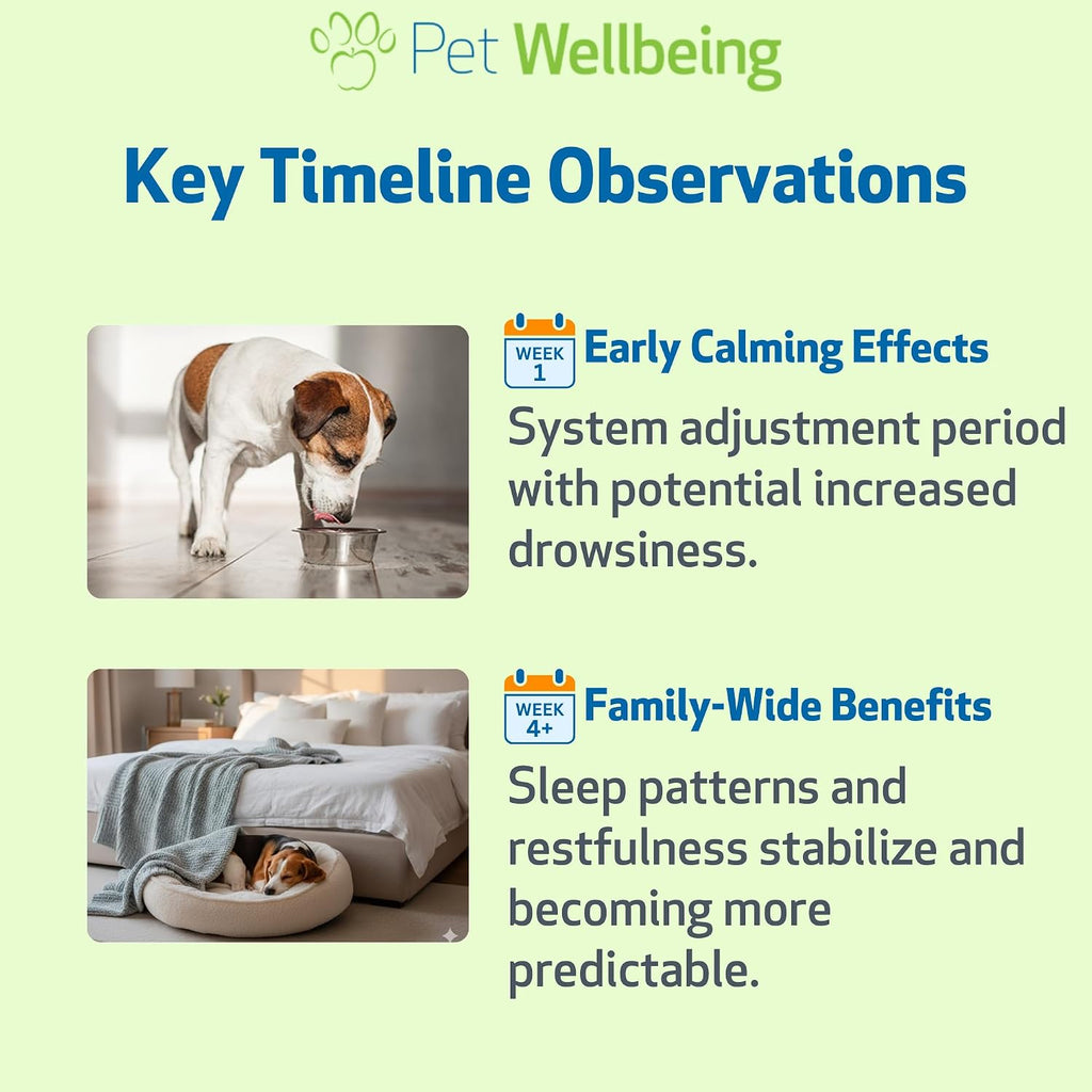 Pet Wellbeing Melatonina para Perros - Suplemento Líquido para la Salud Adrenal y el Equilibrio de Cortisol - 59 ml (2 oz)