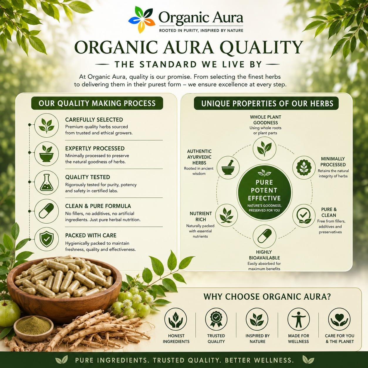 Cápsulas de Raíz de Shatavari en Polvo - Complemento Alimenticio para el Bienestar Femenino y la Vitalidad Diaria - 100% Puro y Natural, Vegano, Sin Gluten