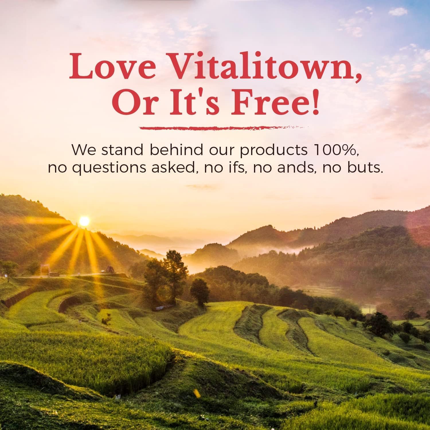 Vitalitown Vitamina B12 (Metil B12) 5000 mcg, Forma Totalmente Bioactiva, Sabor Melocotón Natural, 240 Comprimidos de Disolución Rápida