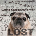 The Blissful Dog Pug Age Well Aromaterapia Roll-On para Perros Mayores