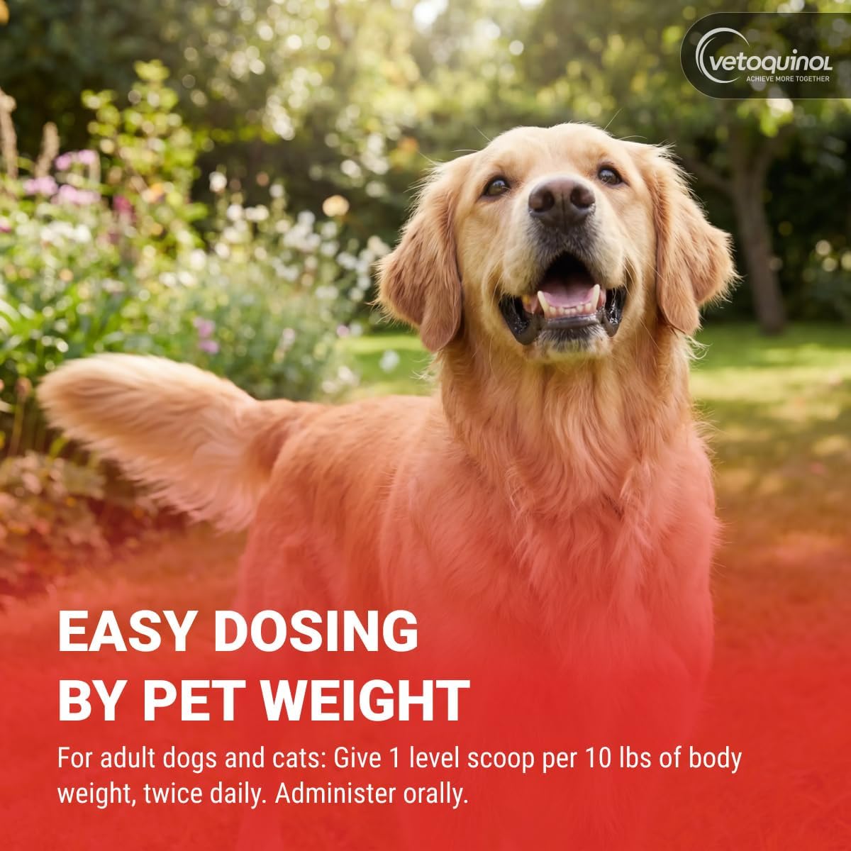 Vetoquinol Renal K - Suplemento de potasio en polvo para perros y gatos