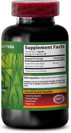 Klamath Blue-Green Algae Capsules - 2 Bottles with 60 Capsules