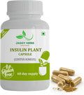 JAGGY Premium Cápsulas de Planta de Insulina (Costus Igneus) - 240 Cápsulas Veganas (Suministro para 60 Días)