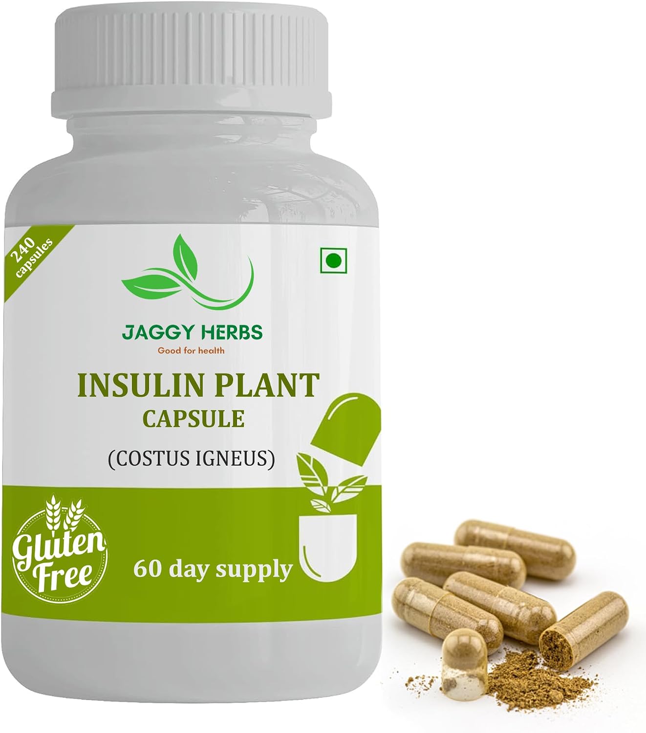 JAGGY Premium Cápsulas de Planta de Insulina (Costus Igneus) - 240 Cápsulas Veganas (Suministro para 60 Días)
