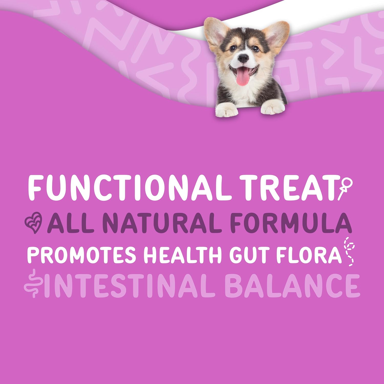 Waggedy Advanced Dog Probiotics Gut and Digestion Food Topper – Probiótico en polvo con enzimas digestivas y papaya – Probióticos suaves para perros de 6 semanas en adelante – Apoya el equilibrio intestinal, el confort y la salud inmunitaria
