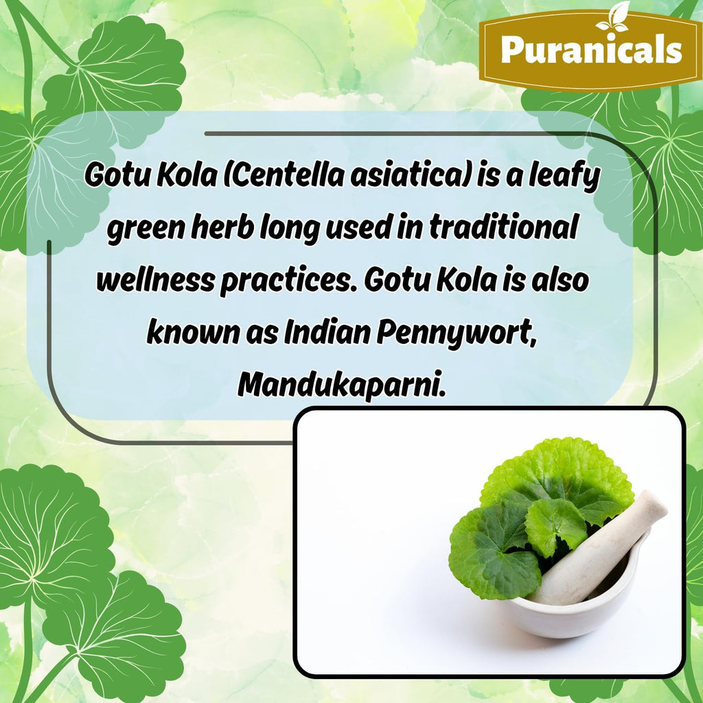 Gotu Kola Premium 320 Cápsulas No OGM y Sin Gluten | Suplemento Herbario | 600 mg Por Ración | Hecho con Polvo de Gotu Kola 100% Puro