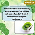 Gotu Kola Premium 320 Cápsulas No OGM y Sin Gluten | Suplemento Herbario | 600 mg Por Ración | Hecho con Polvo de Gotu Kola 100% Puro