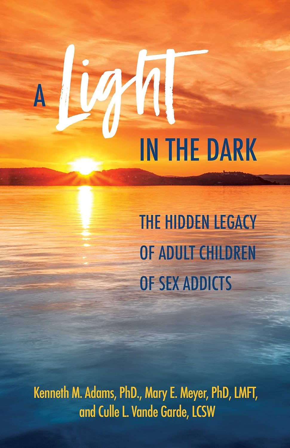 A Light in the Dark: The Hidden Legacy of – El legado emocional: Cómo el trauma temprano moldea la identidad y las – Image 1