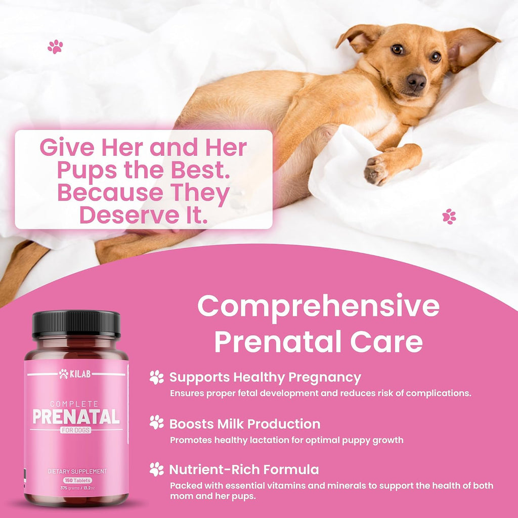 Kilab Vitaminas Prenatales Completas para Perros – 150 Comprimidos con Hierro, Colina, Zinc, DHA y Probióticos
