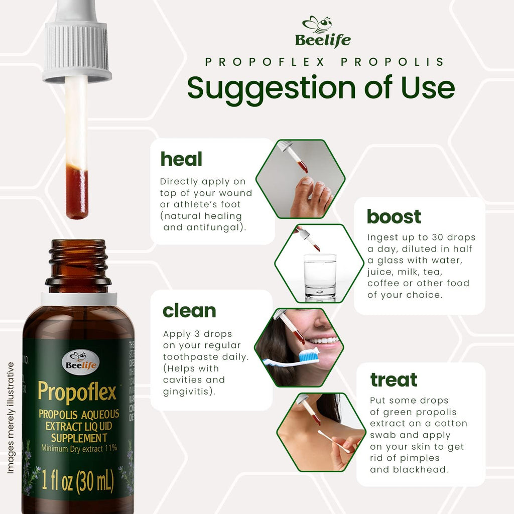 Beelife Extracto de Propóleo Verde - Sin Alcohol, Alto en Artepillin-C - 30 ml