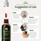Beelife Extracto de Propóleo Verde - Sin Alcohol, Alto en Artepillin-C - 30 ml