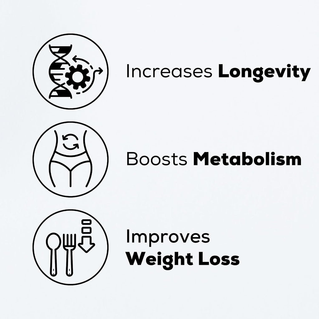 MASI Spermidine Supplement – 1.5mg, 60 Cápsulas, 1 Botella | Fabricado en Alemania, Testado en Suiza | Renovación Celular para Longevidad, Metabolismo, Inmunidad, Salud Cerebral y Cutánea | Vegano, No GMO