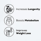 MASI Spermidine Supplement – 1.5mg, 60 Cápsulas, 1 Botella | Fabricado en Alemania, Testado en Suiza | Renovación Celular para Longevidad, Metabolismo, Inmunidad, Salud Cerebral y Cutánea | Vegano, No GMO