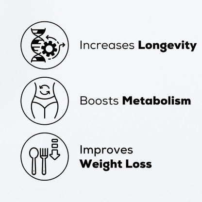 MASI Spermidine Supplement – 1.5mg, 60 Cápsulas, 1 Botella | Fabricado en Alemania, Testado en Suiza | Renovación Celular para Longevidad, Metabolismo, Inmunidad, Salud Cerebral y Cutánea | Vegano, No GMO