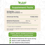B’Leaf Nature Berberina Phytosome, 120 Cápsulas – 1100 mg de Berberina para el Apoyo Metabólico y Cardiovascular – Vegano, Sin Gluten, No-GMO