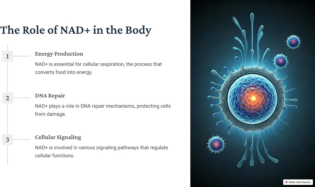 NAD+RESVERATROL