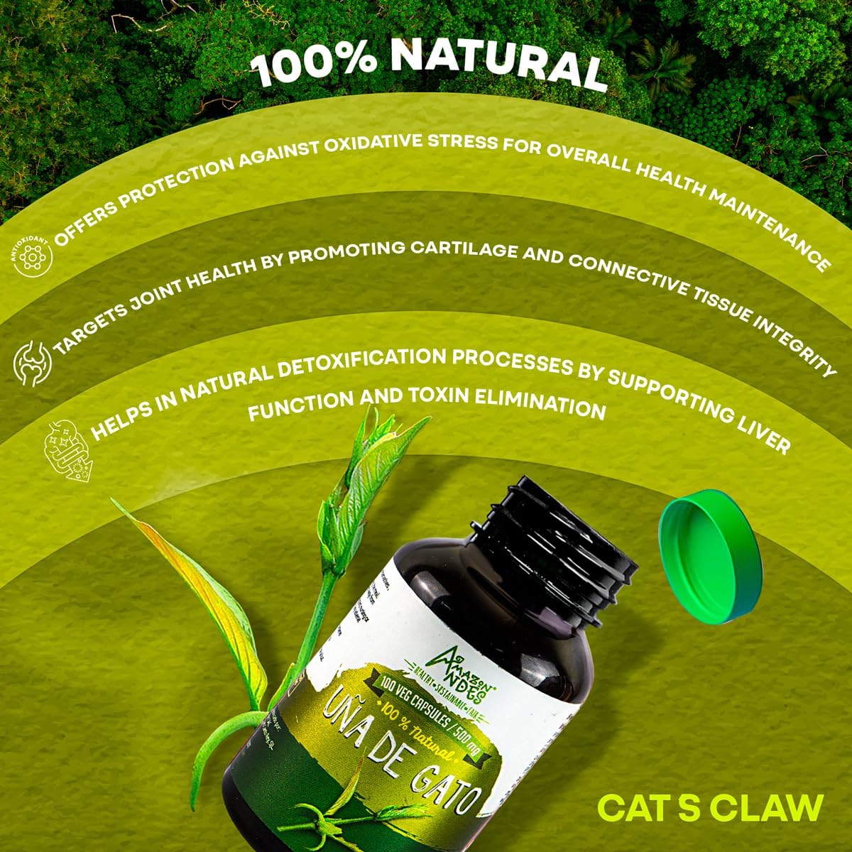 Cat's Claw (Uña de Gato) Cápsulas de 1000mg - Complemento Alimenticio Vegano
