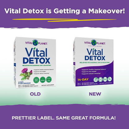 Vital Planet Vital Detox - Kit de 14 Días con Cardo Mariano y Quercetina - 56 Cápsulas – Image 3