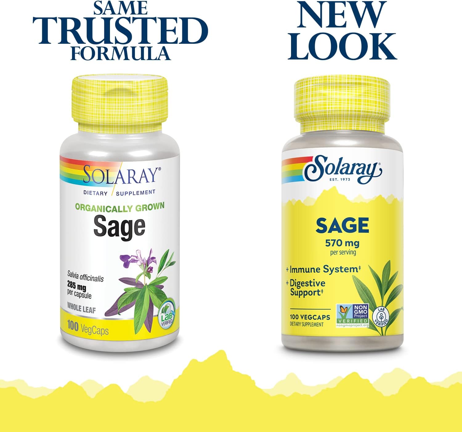 SOLARAY Hojas de Salvia - 570 mg, 100 Cápsulas Veganas